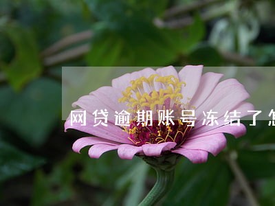 网贷逾期账号冻结了怎么办 网贷逾期账号冻结了怎么办