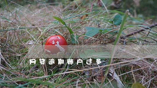 网贷逾期账户过多 网贷逾期账户过多