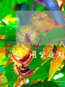 网贷逾期贴传单 网贷逾期贴传单