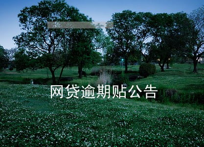 网贷逾期贴公告 网贷逾期贴公告
