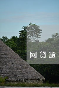 网贷逾期贷不到款怎么办 网贷逾期贷不到款怎么办