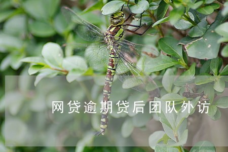 网贷逾期贷后团队外访 网贷逾期贷后团队外访