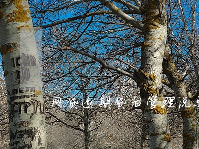 网贷逾期贷后管理说要起诉我 网贷逾期贷后管理说要起诉我