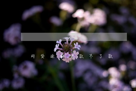 网贷逾期贷款不了款 网贷逾期贷款不了款