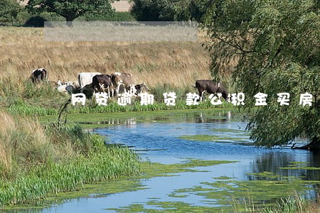 网贷逾期贷款公积金买房 网贷逾期贷款公积金买房
