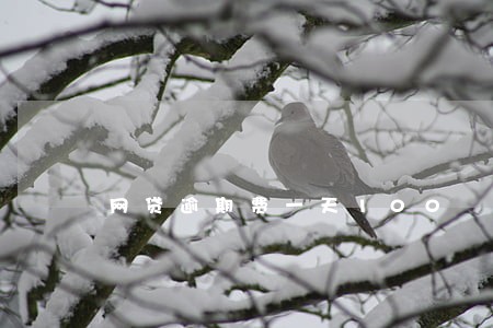 网贷逾期费一天100 网贷逾期费一天100