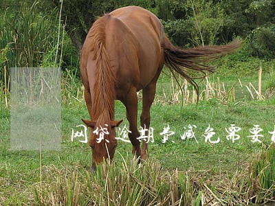 网贷逾期费减免需要材料吗 网贷逾期费减免需要材料吗