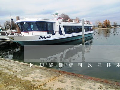 网贷逾期费可以只还本金吗 网贷逾期费可以只还本金吗