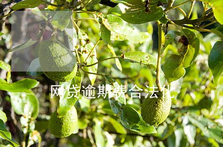 网贷逾期费合法化 网贷逾期费合法化