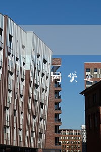 网贷逾期费和罚息可以不交么 网贷逾期费和罚息可以不交么