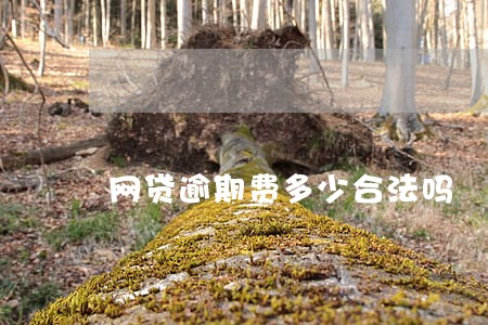 网贷逾期费多少合法吗
