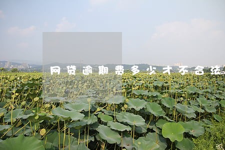 网贷逾期费多少才不合法 网贷逾期费多少才不合法