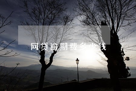 网贷逾期费多少钱 网贷逾期费多少钱