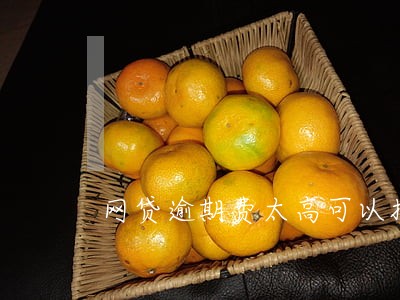 网贷逾期费太高可以报警吗 网贷逾期费太高可以报警吗