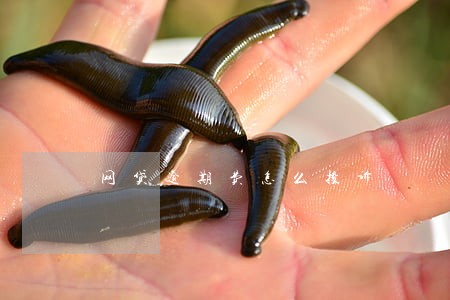 网贷逾期费怎么投诉 网贷逾期费怎么投诉