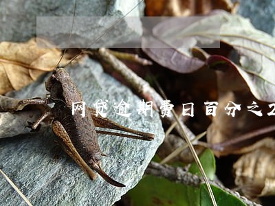 网贷逾期费日百分之2.4 网贷逾期费日百分之2.4