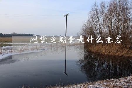 网贷逾期费是什么意思 网贷逾期费是什么意思