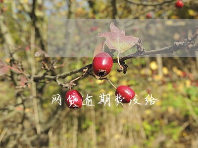 网贷逾期费没给