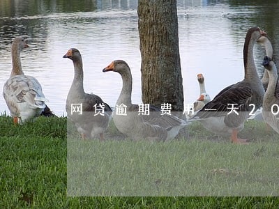 网贷逾期费用一天20元 网贷逾期费用一天20元