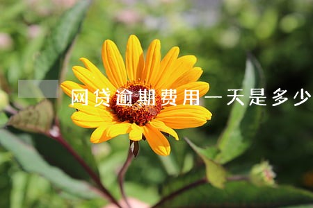 网贷逾期费用一天是多少钱 网贷逾期费用一天是多少钱