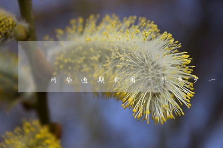 网贷逾期费用一般多少一天 网贷逾期费用一般多少一天