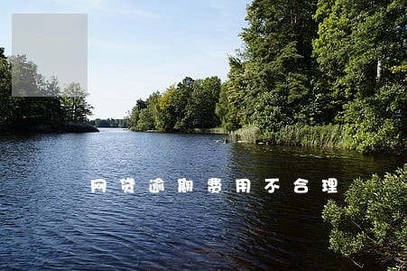 网贷逾期费用不合理