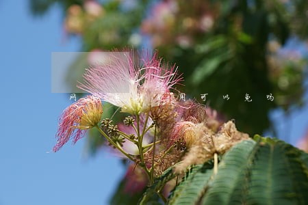 网贷逾期费用可以免吗 网贷逾期费用可以免吗
