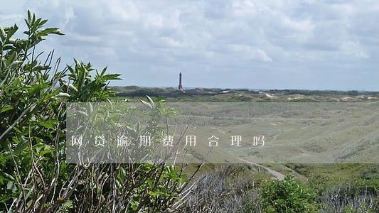 网贷逾期费用合理吗 网贷逾期费用合理吗