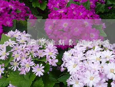 网贷逾期费用和罚息 网贷逾期费用和罚息