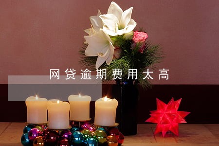 网贷逾期费用太高