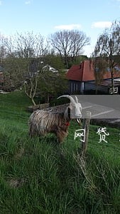 网贷逾期费用太高可以不还吗 网贷逾期费用太高可以不还吗