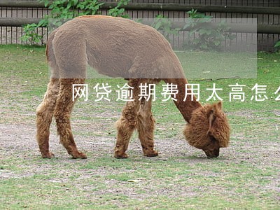网贷逾期费用太高怎么处理