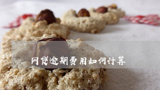 网贷逾期费用如何计算 网贷逾期费用如何计算