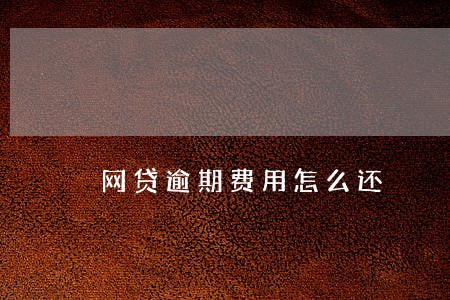 网贷逾期费用怎么还 网贷逾期费用怎么还