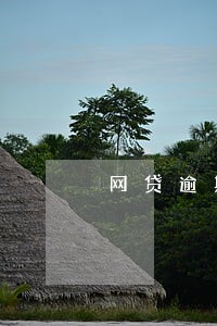 网贷逾期费用收百分十合法吗 网贷逾期费用收百分十合法吗