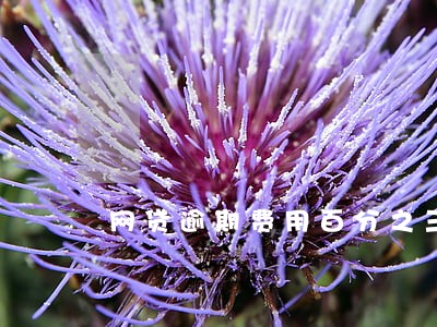 网贷逾期费用百分之三十 网贷逾期费用百分之三十
