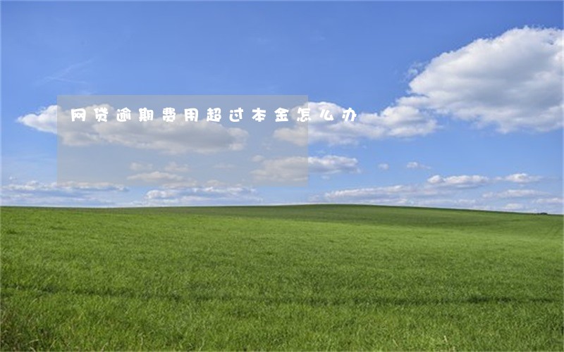 网贷逾期费用超过本金怎么办 网贷逾期费用超过本金怎么办