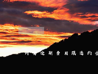 网贷逾期费用跟违约金 网贷逾期费用跟违约金
