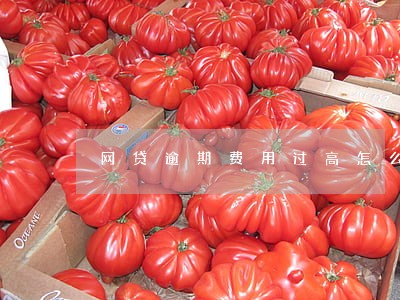 网贷逾期费用过高怎么办 网贷逾期费用过高怎么办