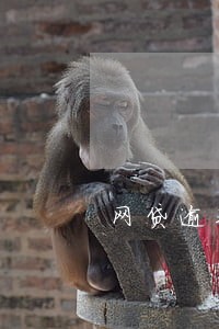 网贷逾期费用高怎么解决 网贷逾期费用高怎么解决