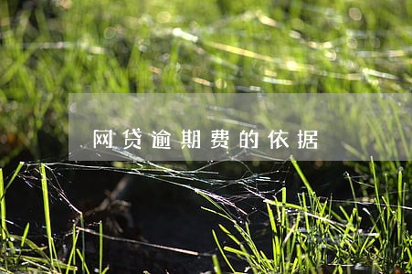 网贷逾期费的依据