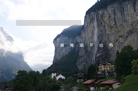 网贷逾期费能不给吗 网贷逾期费能不给吗