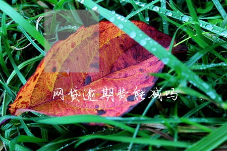网贷逾期费能减吗 网贷逾期费能减吗