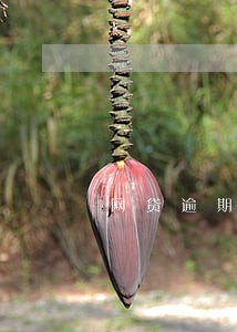 网贷逾期费超标 网贷逾期费超标