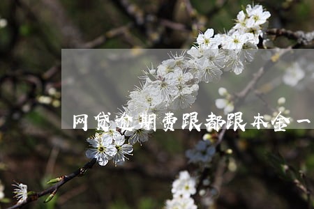 网贷逾期费跟都跟本金一样 网贷逾期费跟都跟本金一样