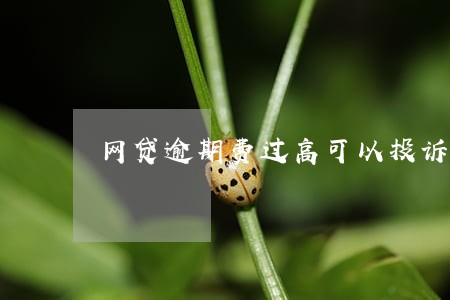 网贷逾期费过高可以投诉吗 网贷逾期费过高可以投诉吗