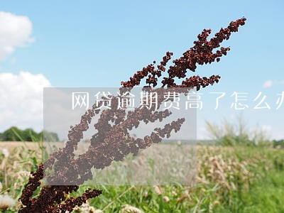 网贷逾期费高了怎么办 网贷逾期费高了怎么办