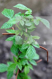 网贷逾期费高的吓人 网贷逾期费高的吓人