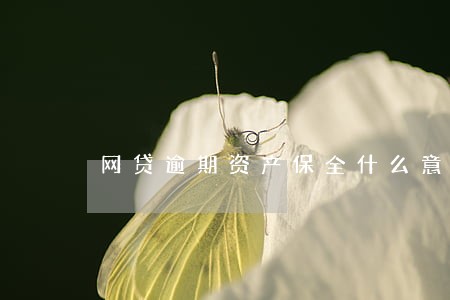 网贷逾期资产保全什么意思 网贷逾期资产保全什么意思