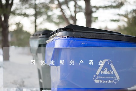 网贷逾期资产清查 网贷逾期资产清查
